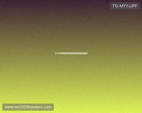 2026年世界杯巴西对阵海地现场观赛指南与精彩赛事分析
